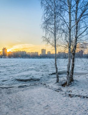 Neva Nehri 'nin sağ kıyısından St. Petersburg' un Rybatskoye bölgesindeki yerleşim yerlerinin görüntüsü. 