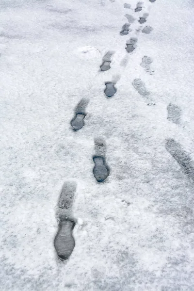 Março Degelo Cidade Com Uma Gota Neve Pesada Molhada — Fotografia de Stock