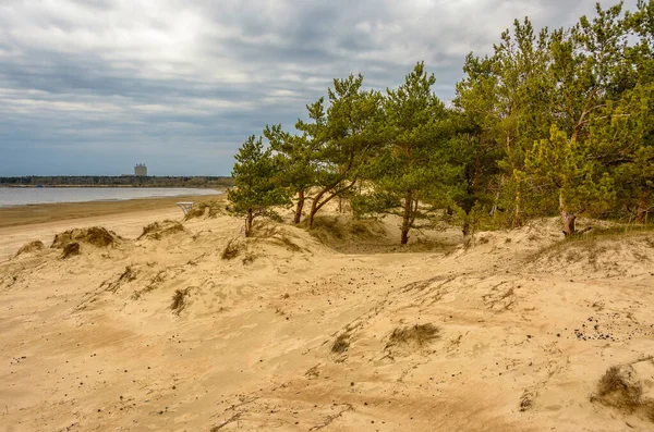 Dune Sabbia Sulla Costa Del Golfo Finlandia Nella Regione Leningrado — Foto Stock