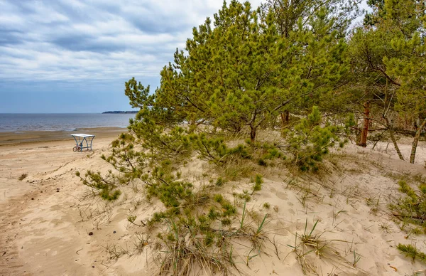 Dune Sabbia Sulla Costa Del Golfo Finlandia Nella Regione Leningrado — Foto Stock