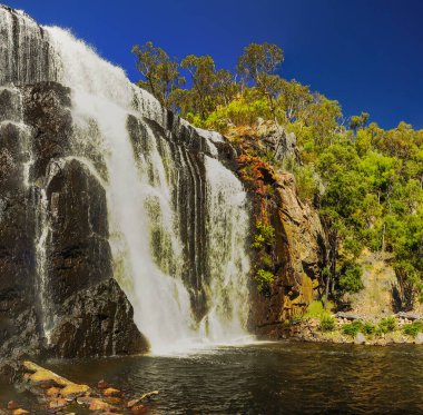 Mackenzie Şelalesi Victoria 'daki Grampians Park' taki en ünlü şelaledir.. 