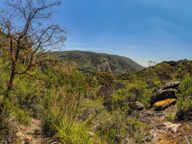 Grampians Ulusal Parkı Avustralya, Victoria. 