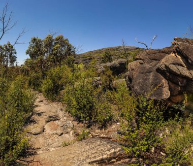 Grampians Ulusal Parkı Avustralya, Victoria. 