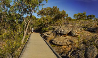 Victoria Vadisi manzarası harika.