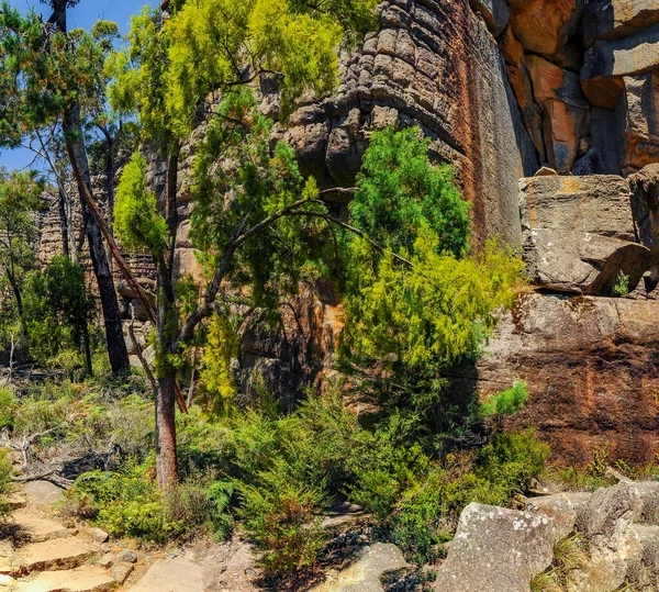 Εθνικό Πάρκο Γκράμπιαν Στην Αυστραλία Βικτώρια — Φωτογραφία Αρχείου