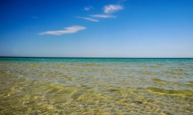 Avustralya 'da Pasifik Okyanusu' nda sakin Chelsea 'de plajda, Victoria. 