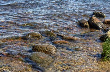 Ladoga Gölü 'nün çok renkli dibi temiz suyla dolu.. 