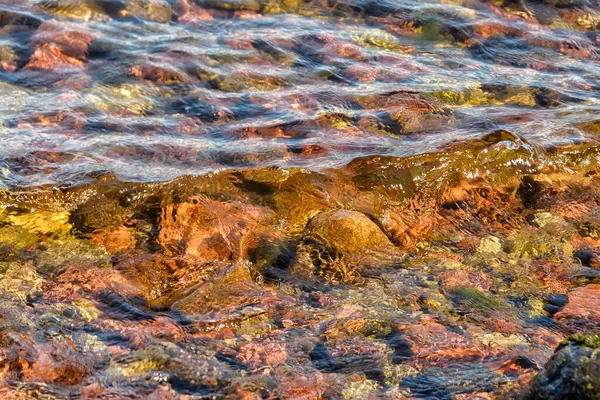 Flerfärgad Botten Ladogasjön Med Klart Vatten — Stockfoto