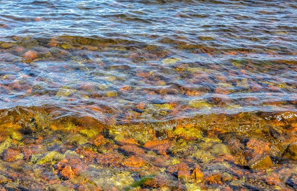 Multi Colored Bottom Lake Ladoga Clear Water — Stock Photo, Image