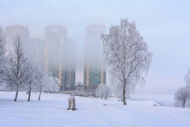 Neva Nehri kıyısı, Rybatskoye, Nevsky bölgesi, St. Petersburg, Rusya. St. Petersburg 'da soğuk soğuk bir sabah Neva Nehri' nin sol kıyısında. 