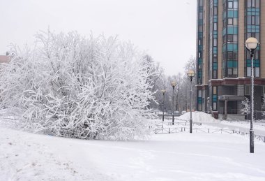 Neva Nehri kıyısı, Rybatskoye, Nevsky bölgesi, St. Petersburg, Rusya. St. Petersburg 'da soğuk soğuk bir sabah Neva Nehri' nin sol kıyısında. 