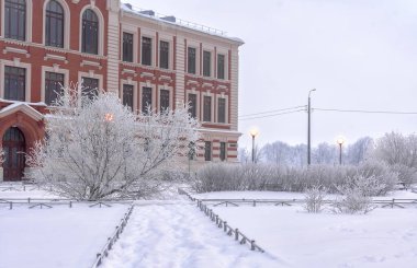 Neva Nehri kıyısı, Rybatskoye, Nevsky bölgesi, St. Petersburg, Rusya. St. Petersburg 'da soğuk soğuk bir sabah Neva Nehri' nin sol kıyısında. 