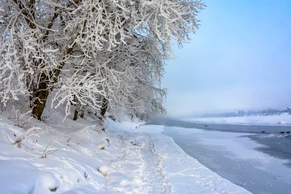 Newa Ufer Rybatskoje Newski Bezirk Petersburg Russland Eiskalter Morgen Petersburg — Stockfoto