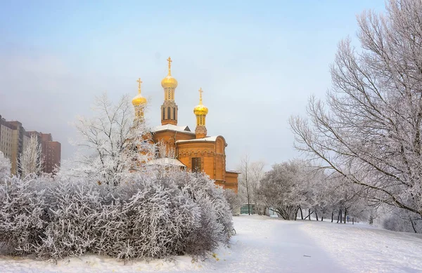 俄罗斯圣彼得堡Nevsky区Rybatskoye的涅瓦河河岸 位于圣彼得堡涅瓦河左岸寒冷结霜的早晨 — 图库照片