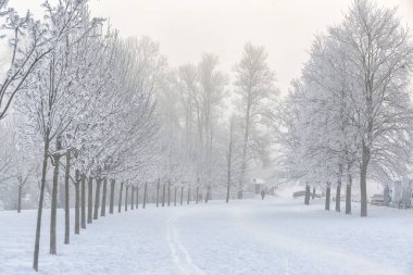 Neva kıyılarında dondurucu sisli bir şubat günü. 