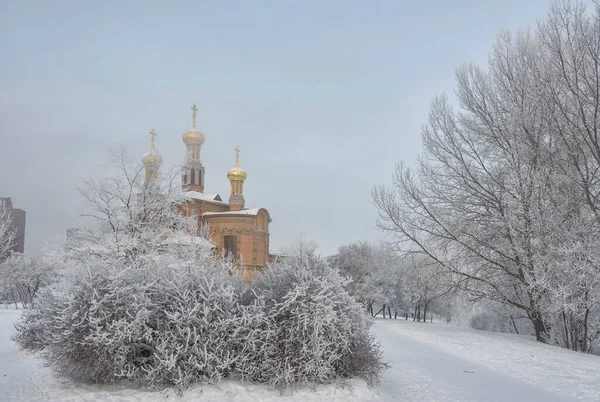 Brouillard Givré Jour Février Sur Les Rives Neva — Photo