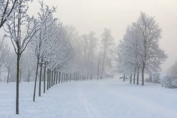 Frosty Dimmigt Februari Dag Stranden Neva — Stockfoto