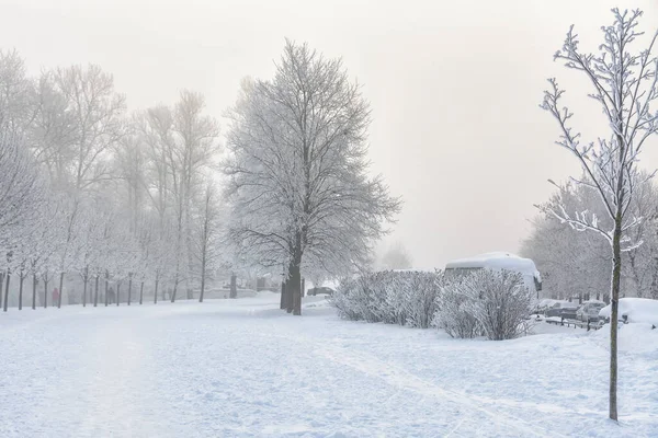 Frosty Dimmigt Februari Dag Stranden Neva — Stockfoto
