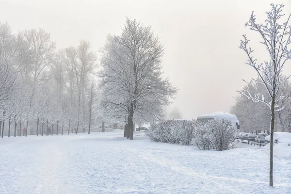 Frosty Niebla Día Febrero Las Orillas Del Neva Imágenes De Stock Sin Royalties Gratis