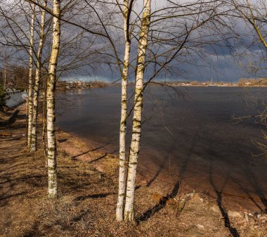 Izhora nehrinin Neva nehrine kavuşması. 1240 'daki tarihi savaş alanı..