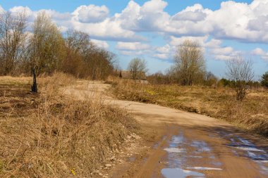 İlkbahar kır manzarası. Çiçeklerin ilk dönemleri.. 
