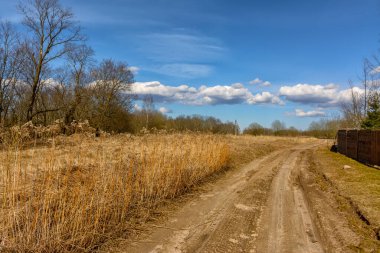 Kırsalda güneşli bir bahar günü. 