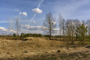 Kırsalda güneşli bir bahar günü. 