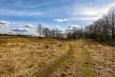Kırsalda güneşli bir bahar günü. 