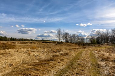 Kırsalda güneşli bir bahar günü. 