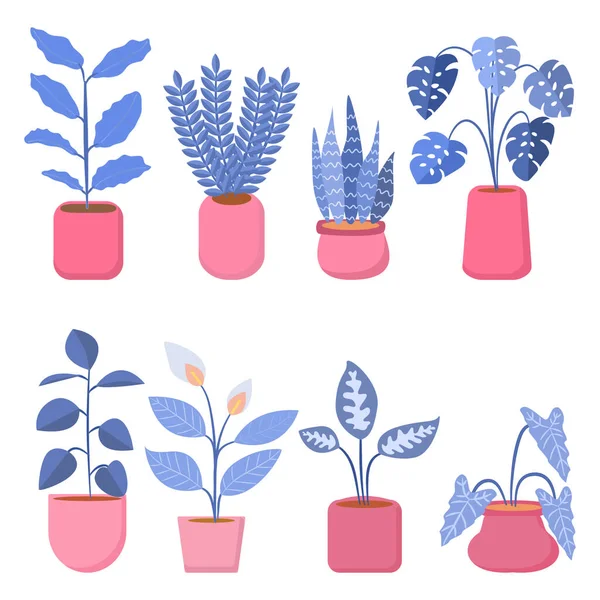 Mavi tonlu ev bitkileri koleksiyonu 