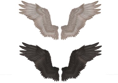 3D Render: Gerçekçi izole melek kanatları çift şahin kanatları, kanat dizayn şablonu