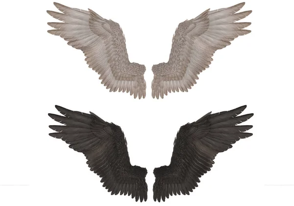 Vykreslování Realistické Izolované Křídla Anděl Pár Sokol Křídla Křídla Design — Stock fotografie