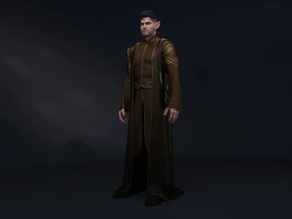 3D Render : Fantasy male elf character, noble lord elf character