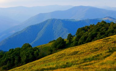 çarpıcı yaz manzarası, muhteşem akşam manzarası, dağlardaki güzel doğa arka planı, Karpatlar, Ukrayna, Avrupa