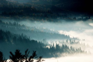 çarpıcı yaz manzarası, muhteşem akşam manzarası, dağlardaki güzel doğa arka planı, Karpatlar, Ukrayna, Avrupa
