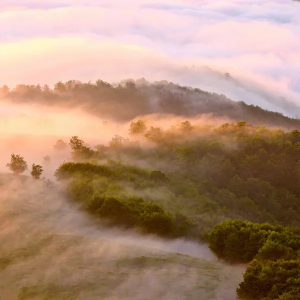 Mlhavé Letní Scenérie Úžasné Večerní Krajiny Krásné Přírodní Zázemí Horách — Stock fotografie