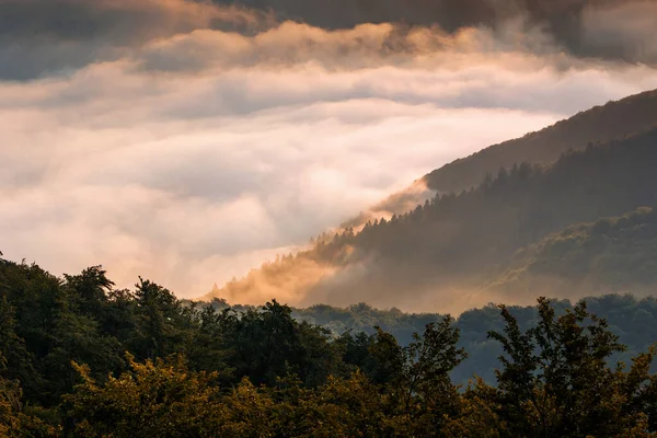 Malebné Letní Svítání Horách Malebná Ranní Scenérie Evropa Karpatský Národní — Stock fotografie