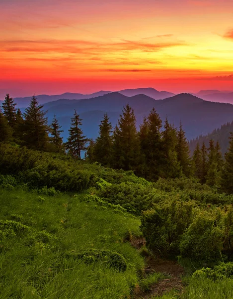 Wspaniałe Letnie Krajobrazy Wspaniały Wieczorny Krajobraz Piękne Tło Natury Górach — Zdjęcie stockowe