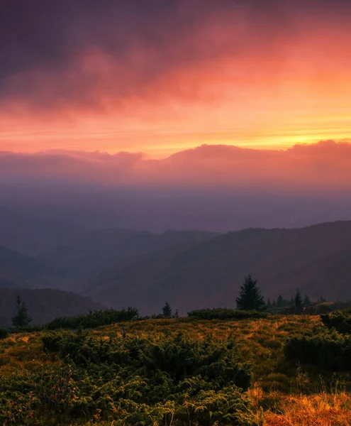 Dağlarda Dikey Sonbahar Gündoğumu Görüntüsü Sonbahar Sabahı Şafağı Doğa Renkli — Stok fotoğraf