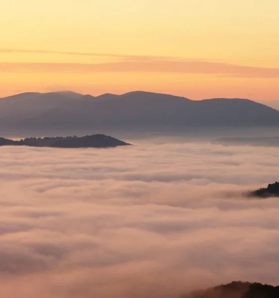 Mlhavé Letní Scenérie Úžasné Večerní Krajiny Krásné Přírodní Zázemí Horách — Stock fotografie