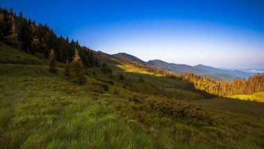 Muhteşem yaz manzarası, muhteşem gün batımı manzarası, dağlardaki güzel doğa arka planı, Karpat dağları, Ukrayna, Avrupa