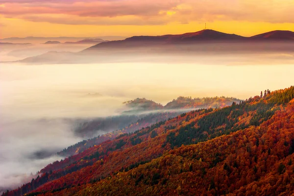 霧深い夏の風景 素晴らしい夕日の風景 山の中で美しい自然背景 カルパチア人 ウクライナ ヨーロッパ — ストック写真