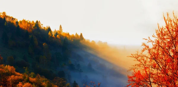 Wunderbare Herbst Sonnenaufgang Bild Den Bergen Herbst Morgen Morgendämmerung Natur — Stockfoto