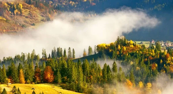 Wunderbare Herbst Sonnenaufgang Bild Den Bergen Herbst Morgen Morgendämmerung Natur — Stockfoto