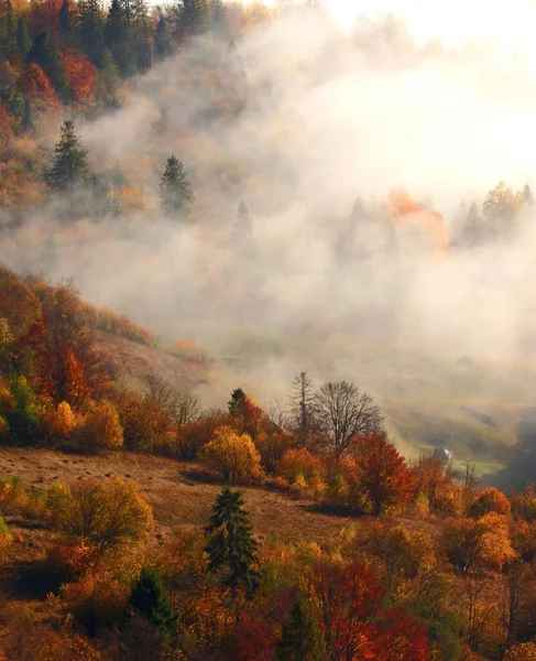 Wspaniały Jesienny Wschód Słońca Górach Jesienny Poranek Natura Kolorowe Tło — Zdjęcie stockowe