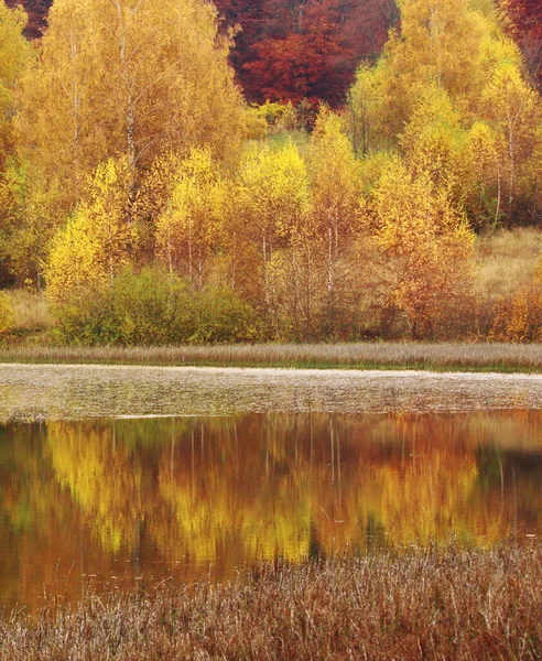 Wspaniały Jesienny Wschód Słońca Górach Jesienny Poranek Natura Kolorowe Tło — Zdjęcie stockowe