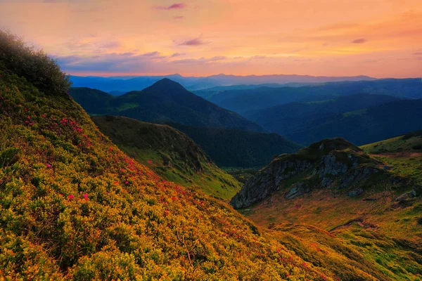 Ukraine Romania Border Europe Carpathian Mountains Marmarosy Range Breathtaking Summer — ストック写真
