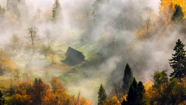 Maravillosa Imagen Del Amanecer Del Otoño Las Montañas Amanecer Mañana —  Fotos de Stock