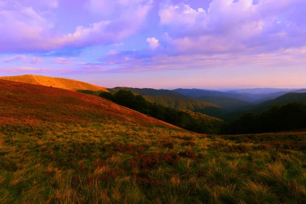 素晴らしい夏の風景 素晴らしい夕日の風景 山の中で美しい自然背景 カルパチア山脈 ウクライナ ヨーロッパ — ストック写真