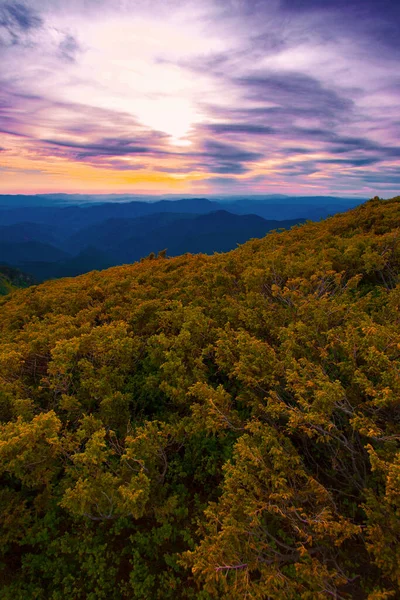 素晴らしい夏の風景 素晴らしい夕日の風景 山の中で美しい自然背景 カルパチア山脈 ウクライナ ヨーロッパ — ストック写真